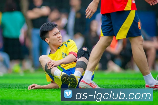 老哥俱乐部官网平台生态图